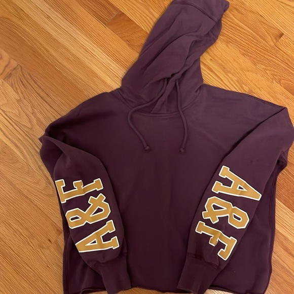 Abercrombie & Fitch Size XS dark plum hoodie. - Picture 2 of 5